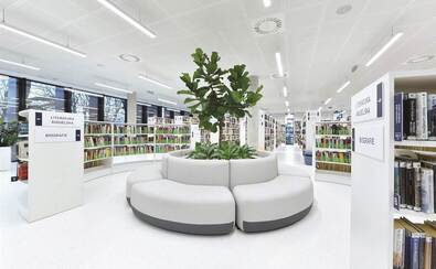 Wnętrze nowocześnie urządzonej biblioteki. Na środku widać dużą roślinę z sofami wokół, a za nią w głębi rzędy półek z książkami