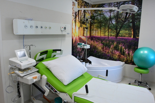 Szerokie i komfortowe łóżko szpitalne. Obok stoi specjalna wanna dla położnicy. Na ścianie tapeta z widokiem lasu i zachodzaćego słońca.