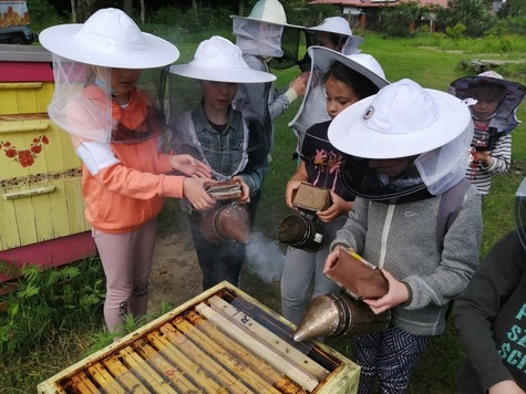 Grupa dzieci w ochronnych kapeluszach pszczelarskich stoi przy ulu