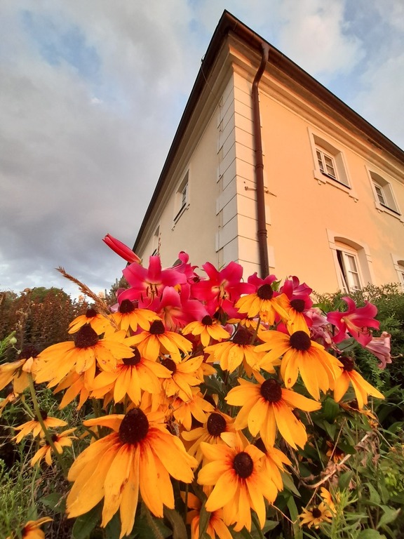 miododajne wielobarwne  kwiaty rosną przed budynkiem Sanktuarium św. Antoniego z Padwy w Ratowie