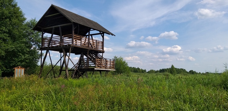 Wieża widokowa na ścieżce spacerowej Mazowieckiego Parku Krajobrazowego