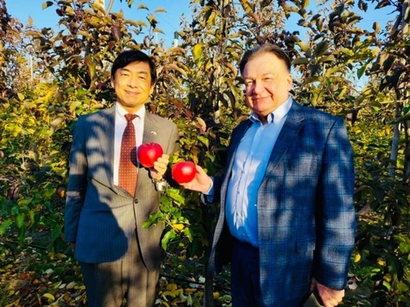Ambasador Japonii Miyajima Akio i marszałek Adam Struzik w grójeckim sadzie