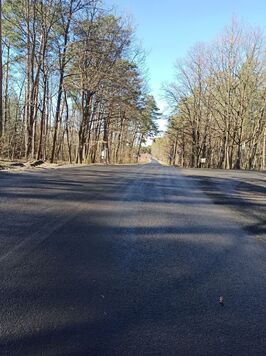 Droga powiatowa asfaltowa, po obu jej stronach widoczny szpaler drzew