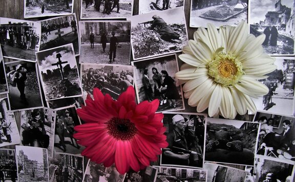 Czarno-białe zdjęcia z powstania przyklejone na tablicę. Na nich są położone dwa kwiaty - gerbery, czerwony i biały