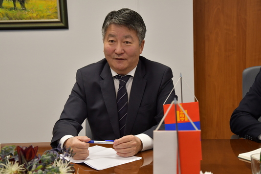 Ambasador Mongolii