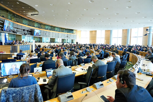 posiedzenie plenarne członków komitetu regionów