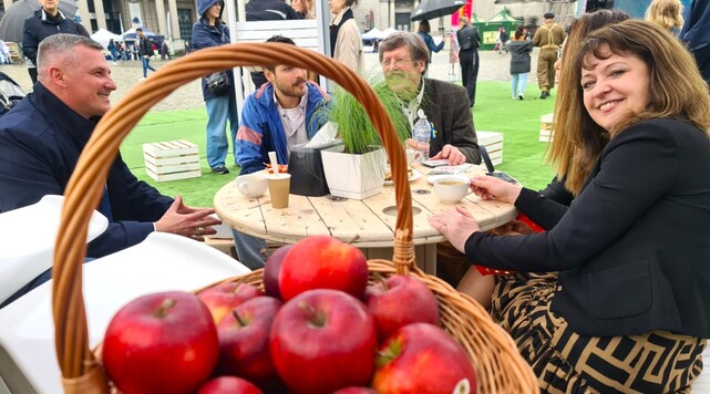 Jabłka na stoisku Mazowsza podczas pikniku 